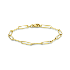 Gouden schakelarmbanden