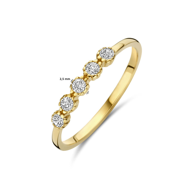 ring zirkonia 14K geelgoud