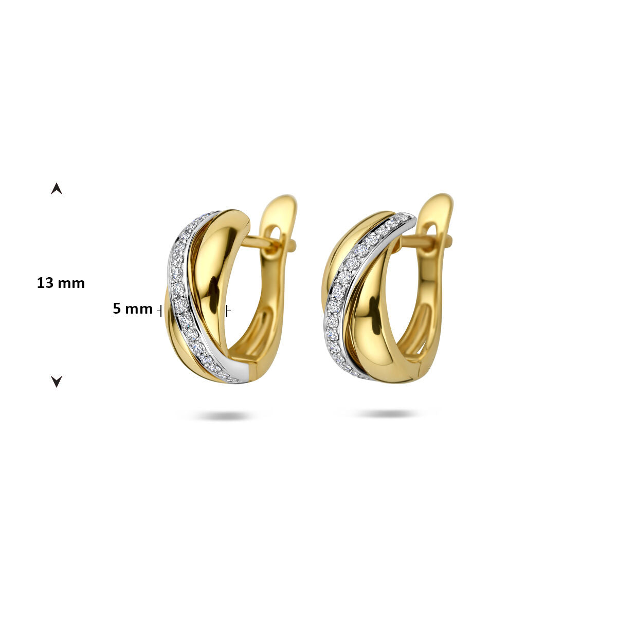 14k Bicolor oorringen met diamant