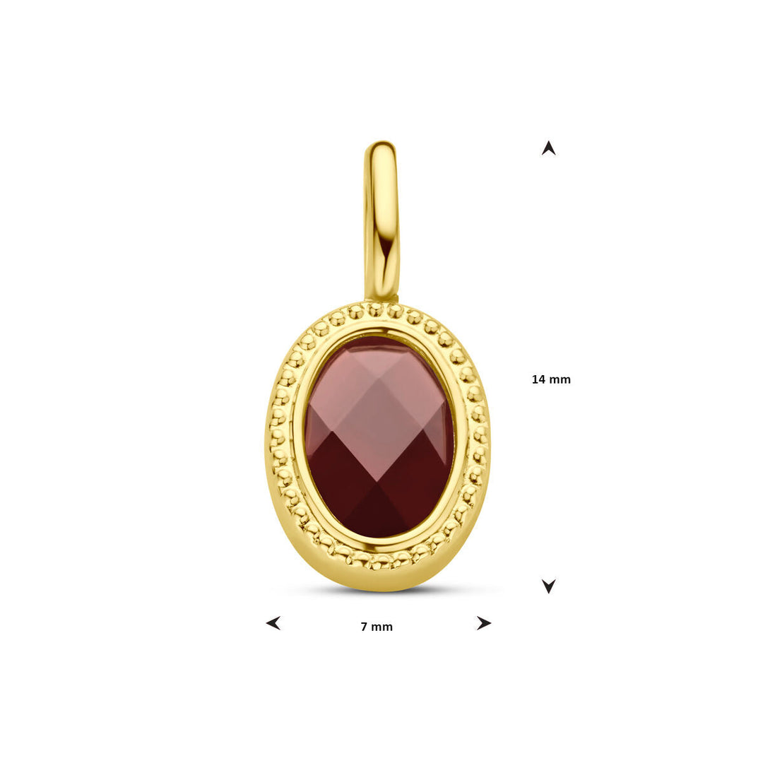 De Van der Kooij Collectie hanger granaat 14K geelgoud is een elegante dameshanger met ovaal granaat van 14x7 mm in fijngestippelde omlijsting en gepolijste borg voor eenvoudige bevestiging aan een ketting.