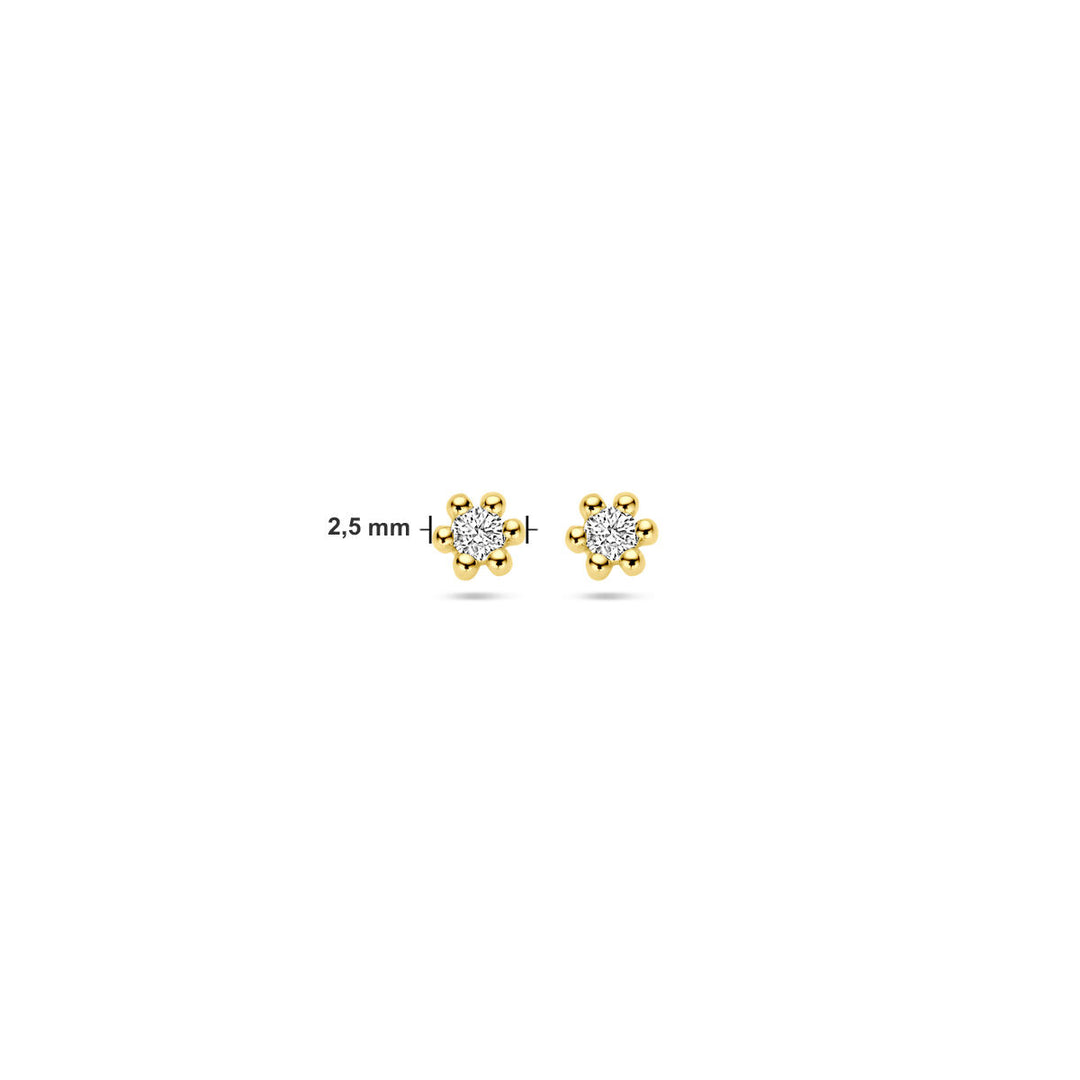 oorknoppen diamant 0.04ct (2x 0.02ct) h p1 14K geelgoud