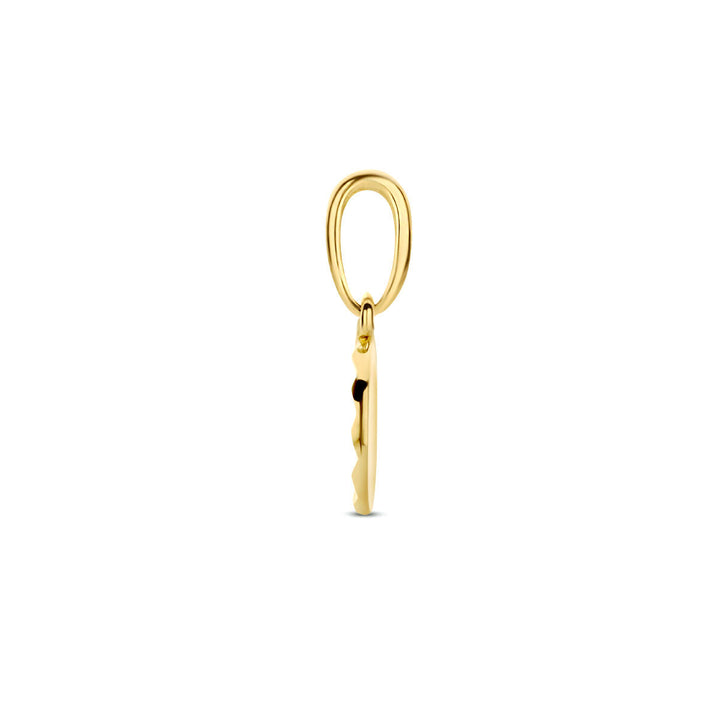 hanger rondje gediamanteerd 14K geelgoud