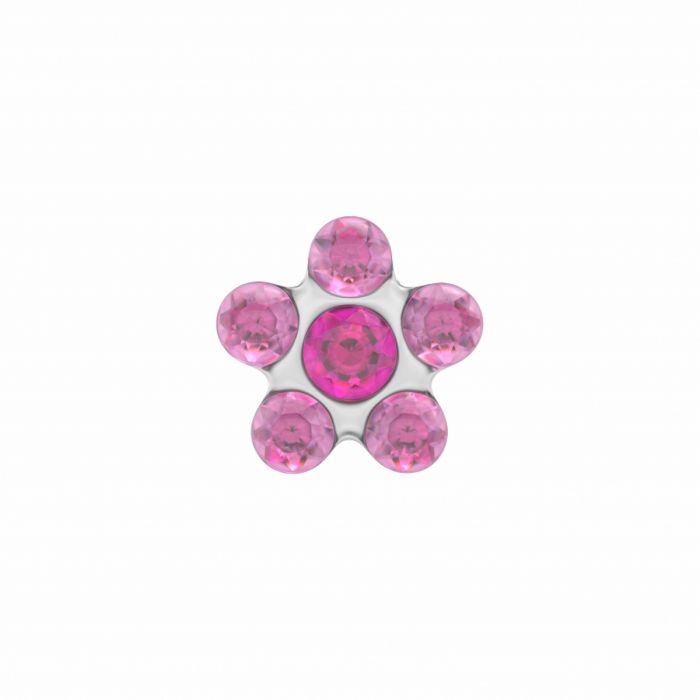 Schietoorbellen bloem daisy roze staal