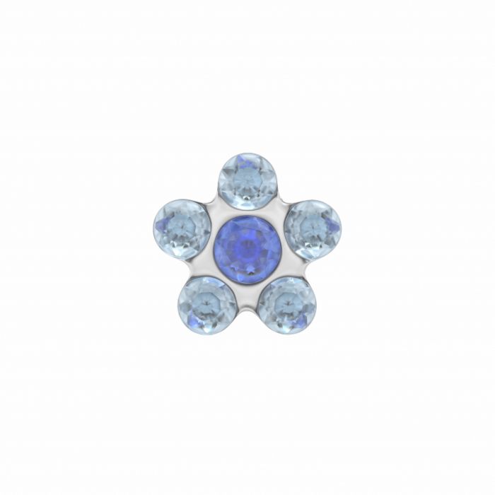 Schietoorbellen bloem daisy blauw staal