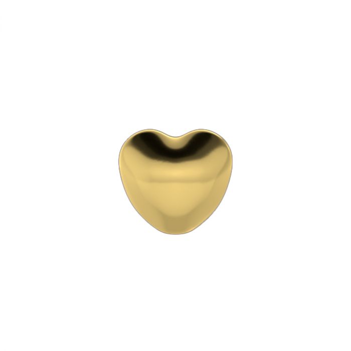 Een glanzend, glad, goudkleurig hart – in de klassieke Studex-stijl – prijkt in het midden op een effen witte achtergrond, met daarop het Schietoorbellen hart verguld staal.