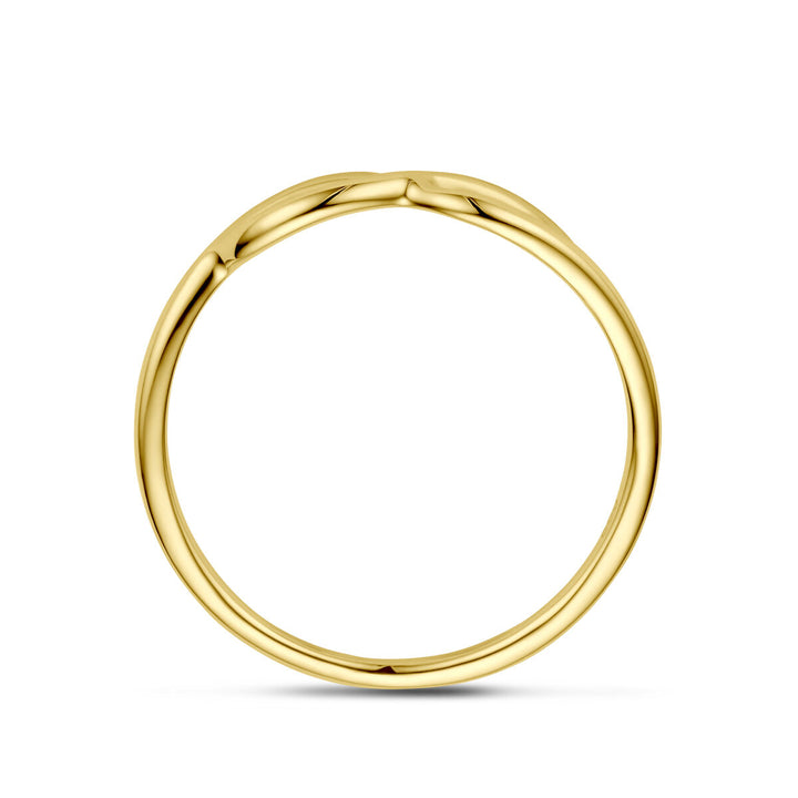 ring infinity 14K geelgoud