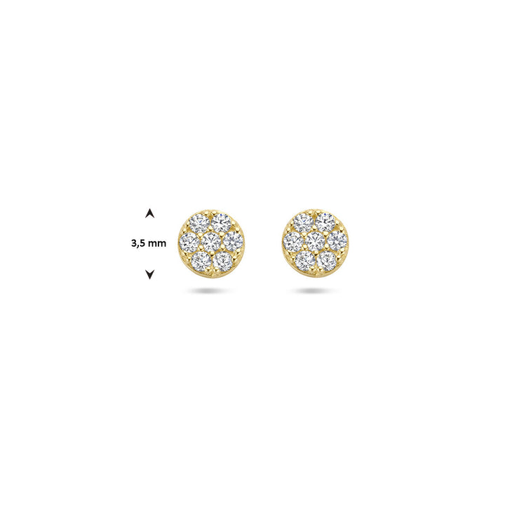 Ohrstecker Zirkonia 14K Gelbgold
