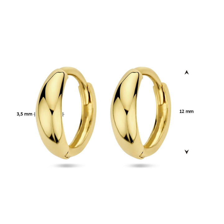 De Van der Kooij Collectie klapoorringen 14K geelgoud zijn gepolijste gouden hoepeloorbellen van elk 3,5 mm dik en 12 mm in diameter, naast elkaar afgebeeld op een witte achtergrond voor een tijdloze look.