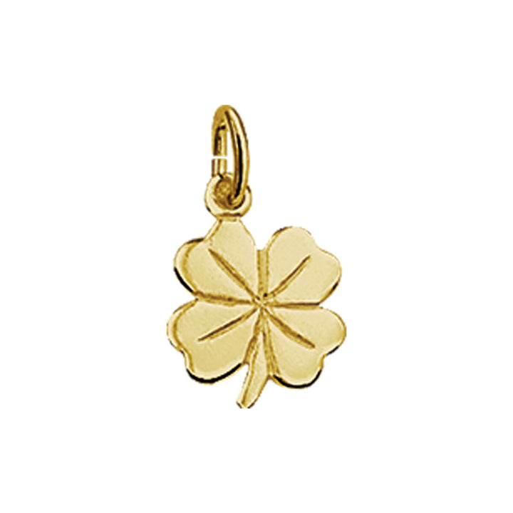 De Van der Kooij Collectie hanger klaver is een 14K geelgoud hanger in de vorm van een klavertje vier, met een klein oogje om aan een dames ketting of armband te bevestigen, getoond op een effen witte achtergrond.