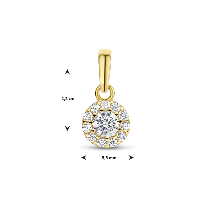 hanger zirkonia halo 14K geelgoud