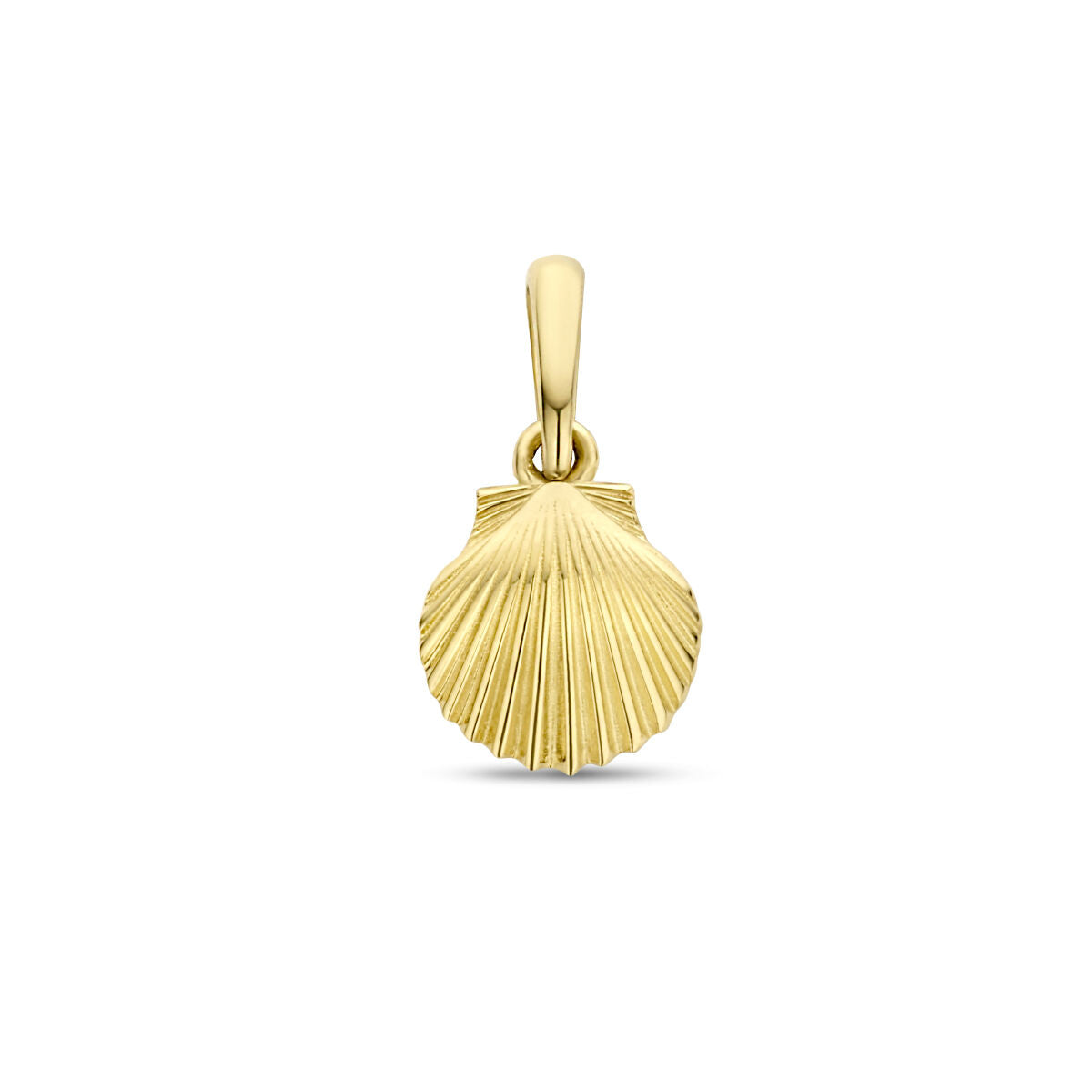 Hanger in de vorm van een schelp van 14K geelgoud met een geribbelde afwerking.