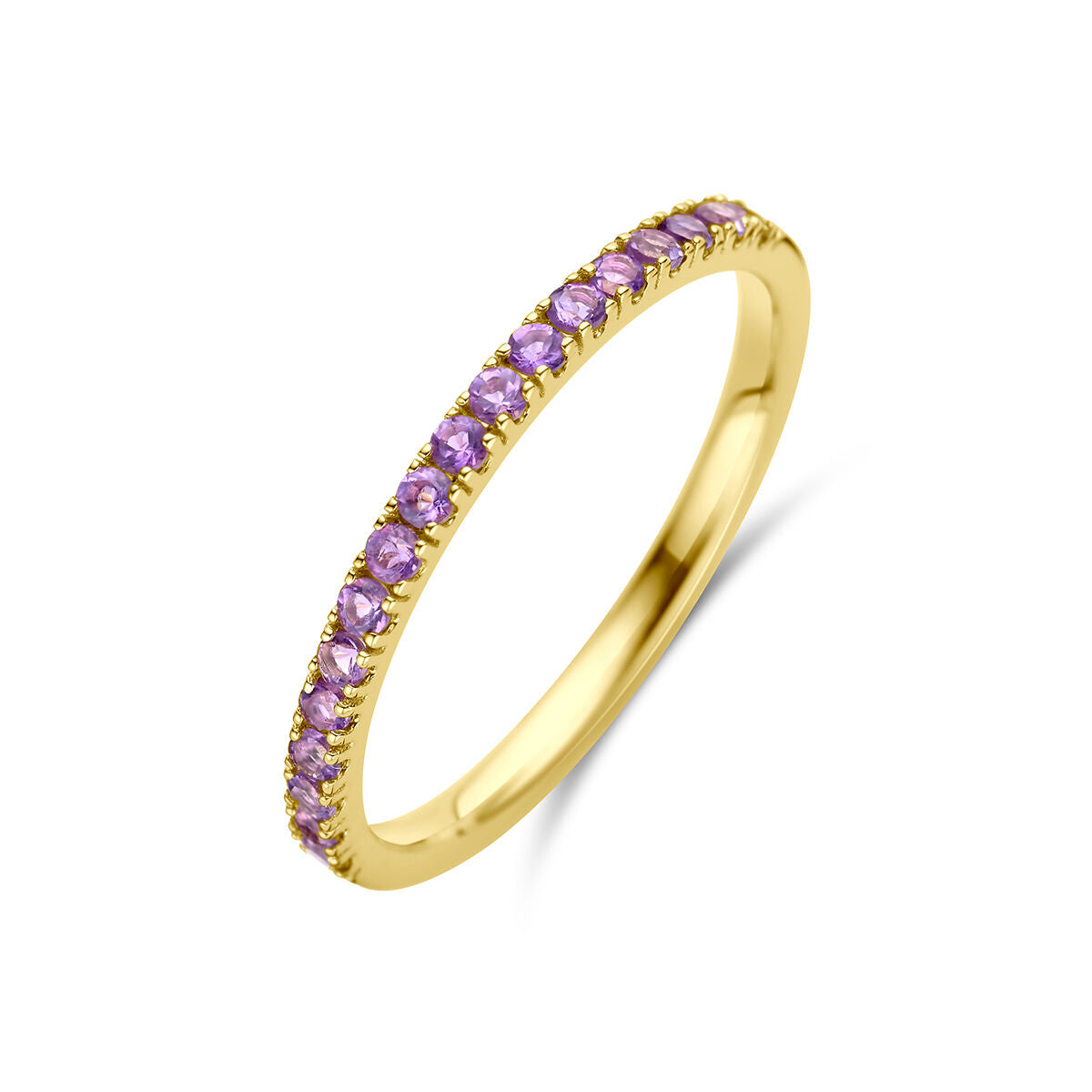 De Van der Kooij Collectie ring met geboortesteen amethist februari 14K geelgoud is voorzien van kleine, ronde amethist edelstenen die in een doorlopende lijn langs de bovenste helft zijn geplaatst, weergegeven tegen een witte achtergrond.
