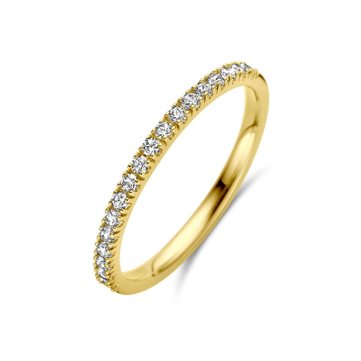 De Van der Kooij Collectie ring met geboortesteen zirkonia april is een delicate 14K geelgouden ring met een rij kleine, ronde zirkoniastenen langs de bovenste helft van de band, weergegeven op een witte achtergrond.