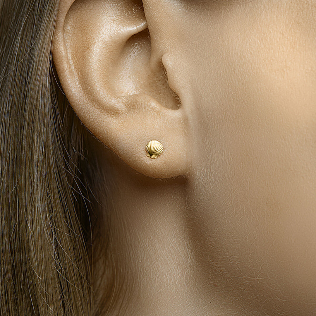 shell ear studs 14K yellow gold