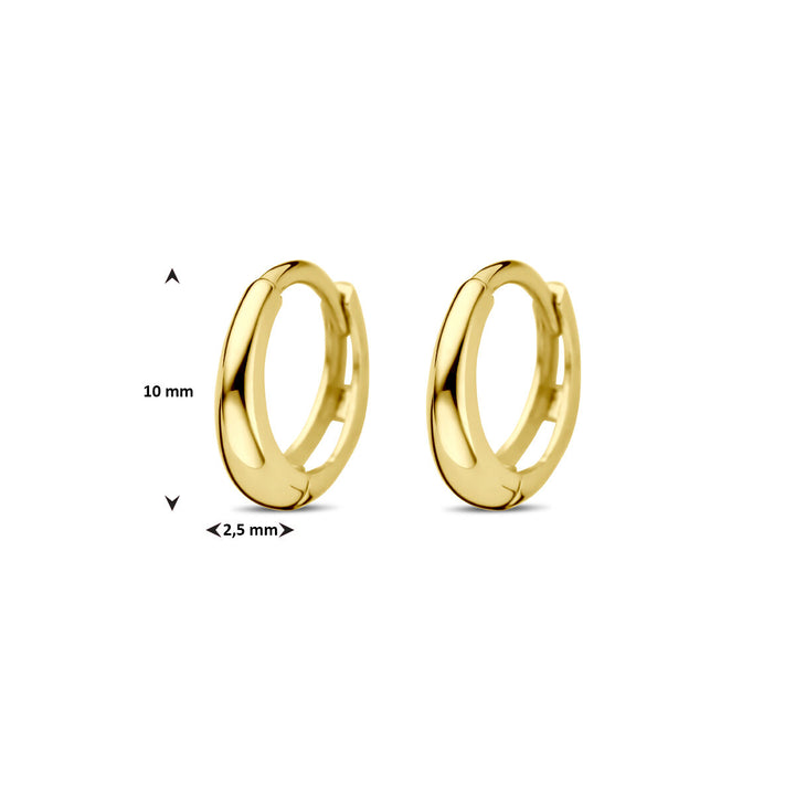 klapoorringen 10 mm 14K geelgoud
