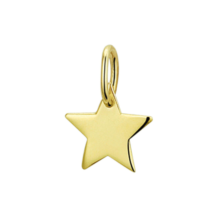 pendant star 14K yellow gold