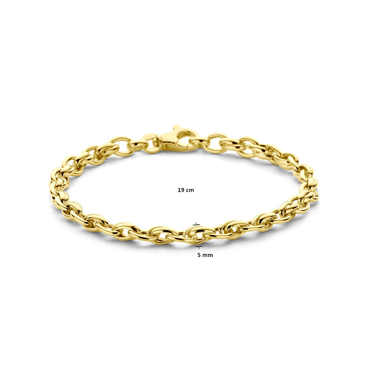 De Gouden armband dames 14K uit de Van der Kooij Collectie heeft ovalen schakels, een karabijnsluiting en meet 19 cm lang bij 5 mm breed, prachtig gepresenteerd op een witte achtergrond.