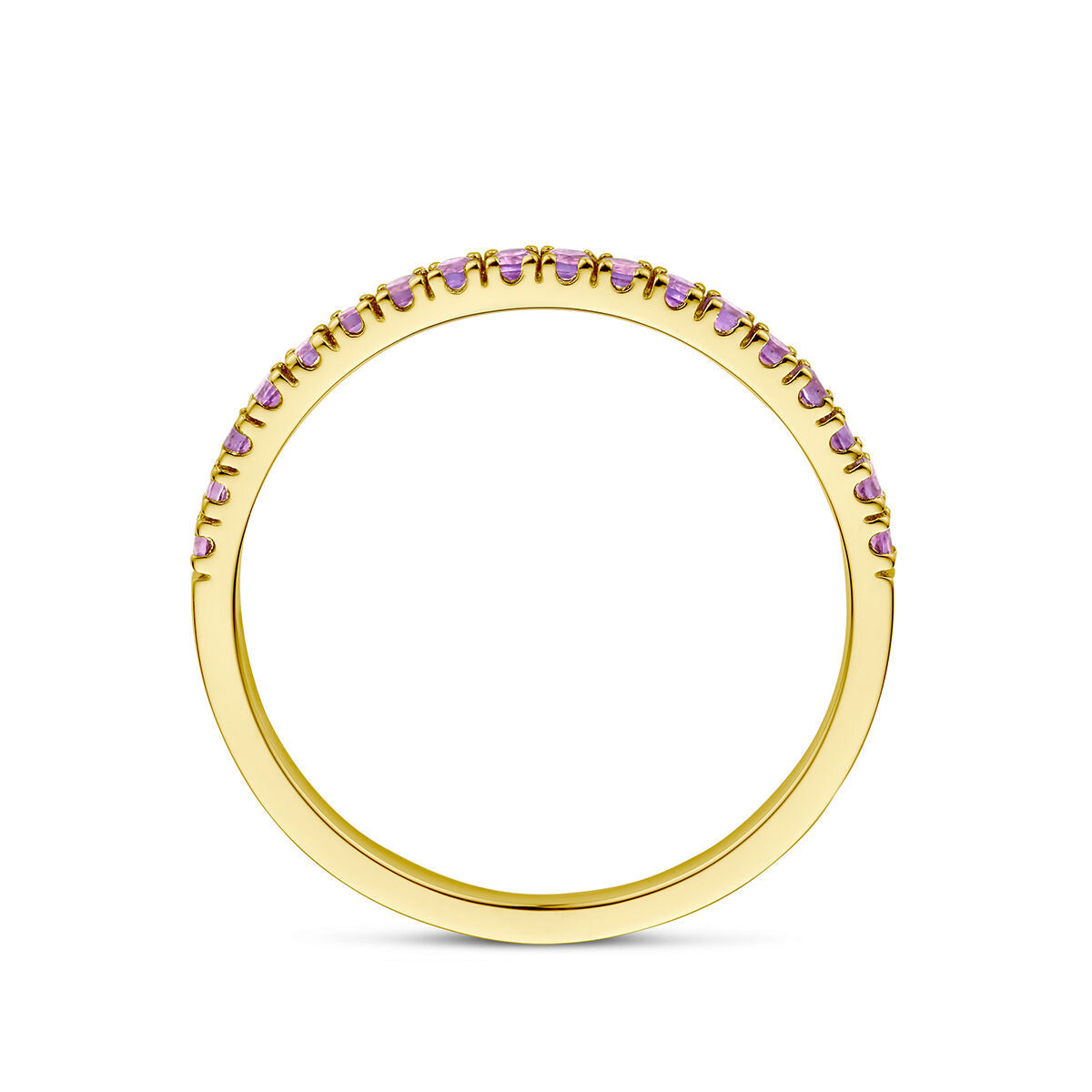 De Van der Kooij Collectie ring met geboortesteen amethist februari in 14K geelgoud heeft kleine paarse stenen aan de bovenkant van de band. Perfect als geboortesteencadeau.