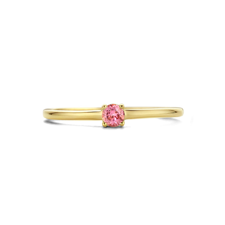 De ring met geboortesteen toermalijn oktober 14K geelgoud van Van der Kooij Collectie is een subtiele geelgouden ring met een ronde roze toermalijn, minimalistisch gevormd en gebruikelijk op een witte achtergrond.