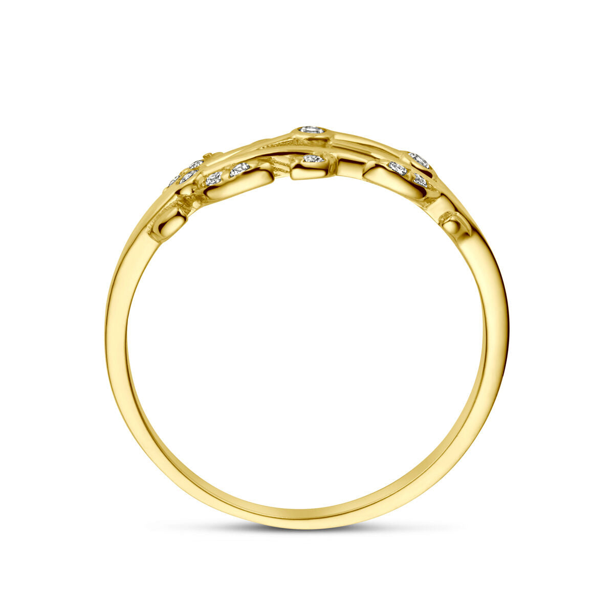 De Van der Kooij Collectie ring zirkonia 14K geelgoud heeft een delicate, op bamboe geïnspireerde band bezet met kleine, ronde zirkonia en is van de zijkant afgebeeld tegen een effen witte achtergrond.