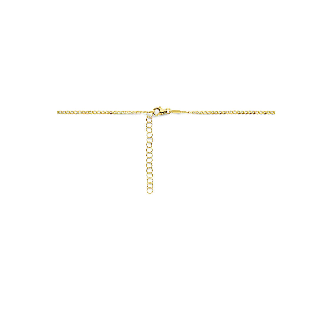 graveercollier plaatjes 1,6 mm 41 + 4 cm 14K geelgoud