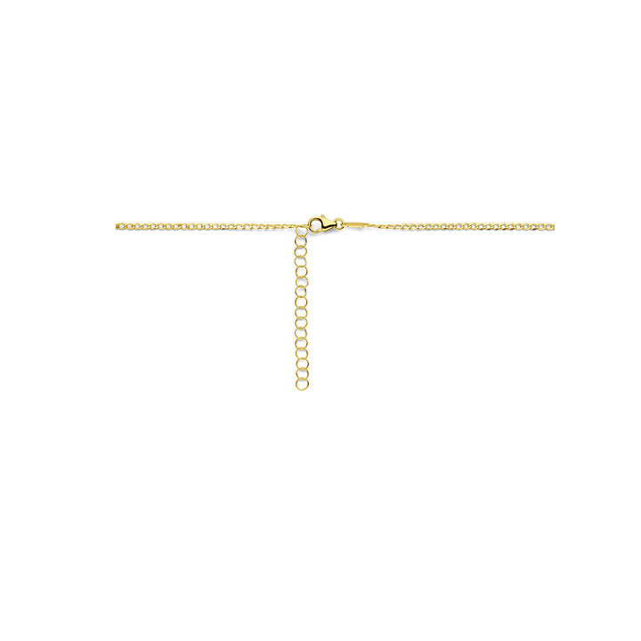 graveercollier plaatjes 1,6 mm 41 + 4 cm 14K geelgoud