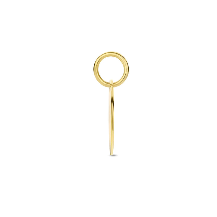 graveerhanger rond 14K geelgoud