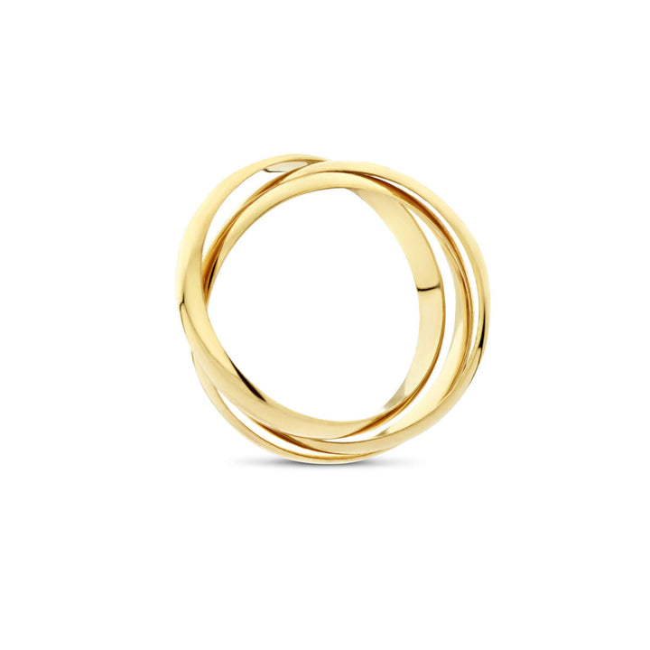 De hangerringetjes 14K geelgoud van Van der Kooij Collectie hebben drie in elkaar grijpende banden van gepolijst goud, waardoor een elegant, glad cirkelvormig ontwerp ontstaat dat prachtig wordt gepresenteerd op een effen witte achtergrond.