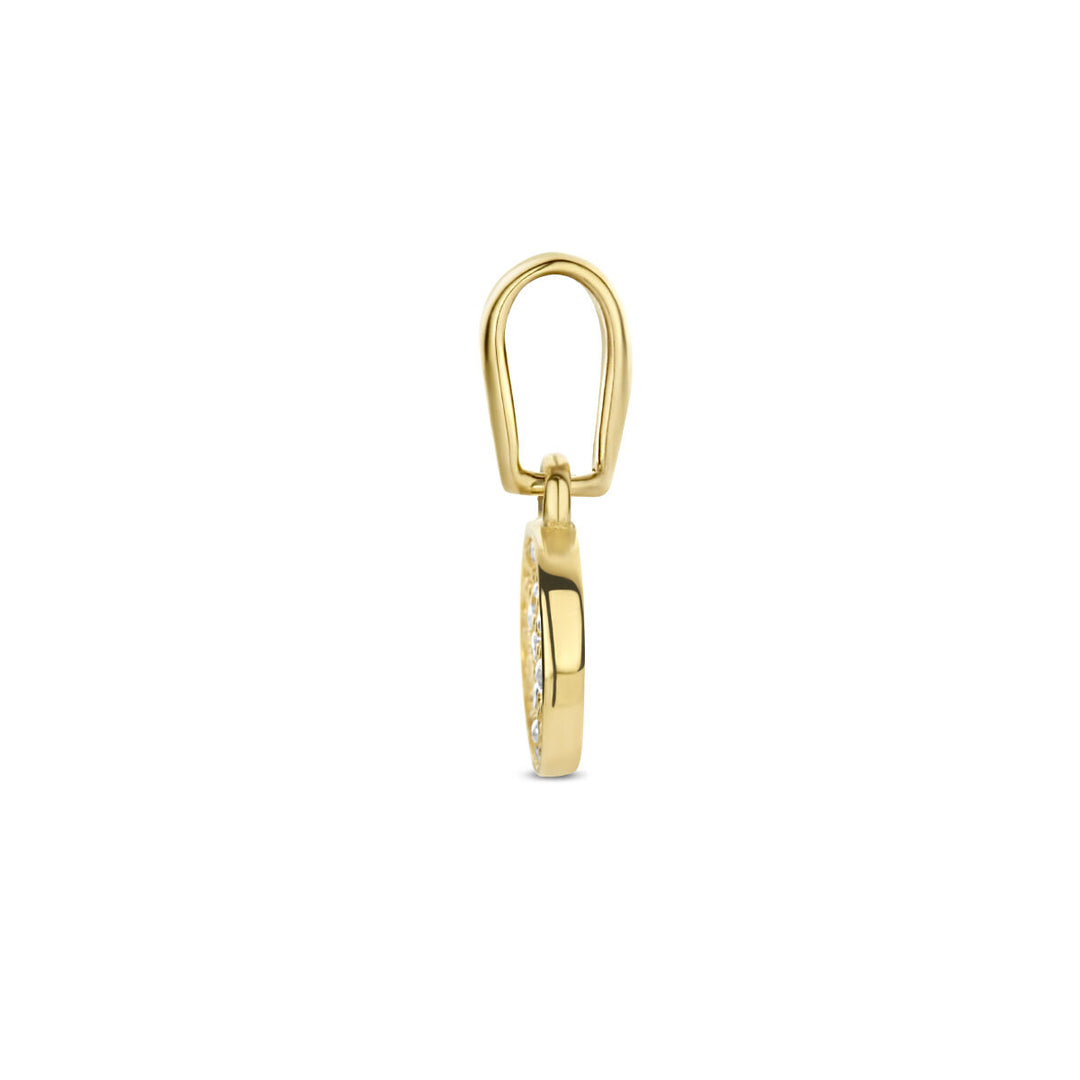 hanger rondje zirkonia 14K geelgoud