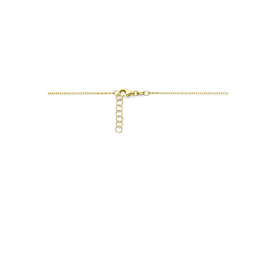 necklace 42 + 2 cm poly/matt 14K yellow gold
