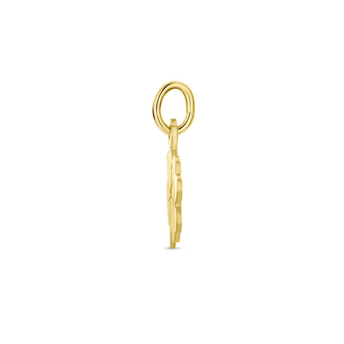 Zijaanzicht van de Van der Kooij Collectie hanger klaver 14K geelgoud, een dunne, ronde dameshanger met een plat vlak en een bovenste lus voor een ketting, afgebeeld tegen een effen witte achtergrond.