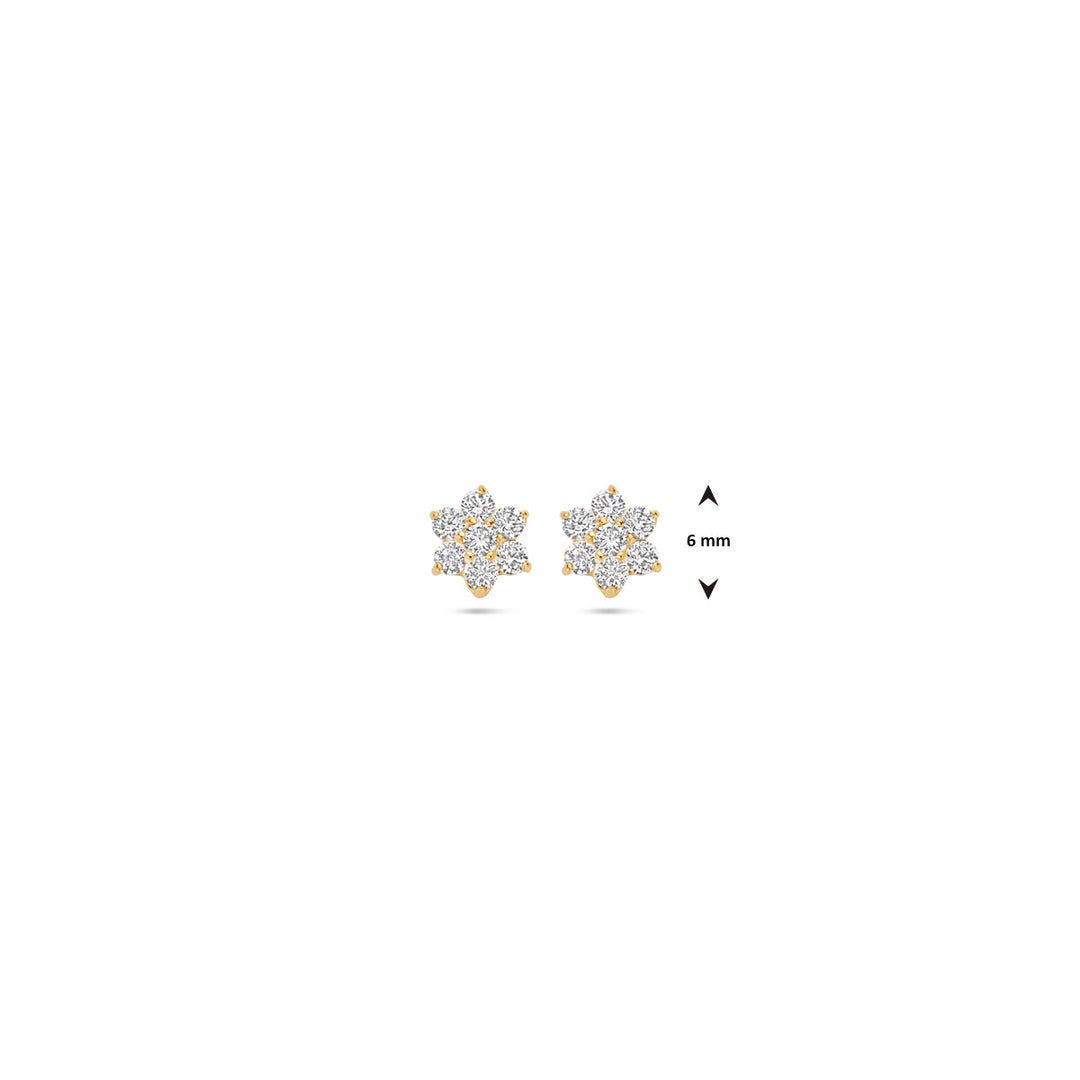oorknoppen rozet 14K geelgoud