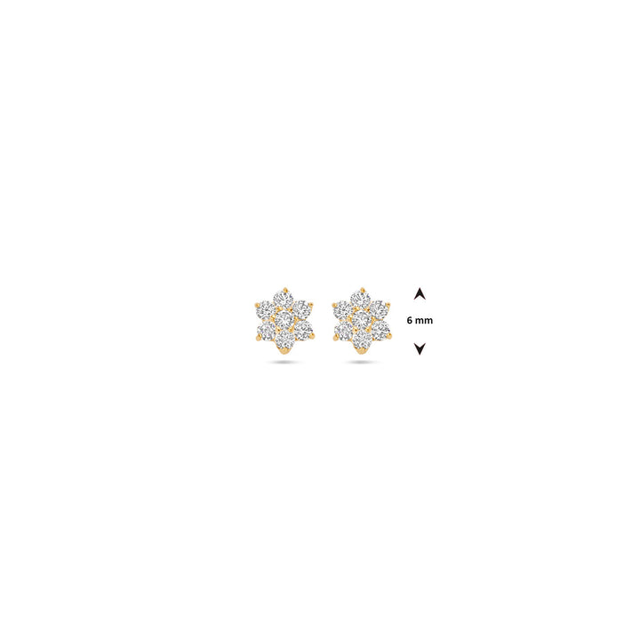 oorknoppen rozet 14K geelgoud
