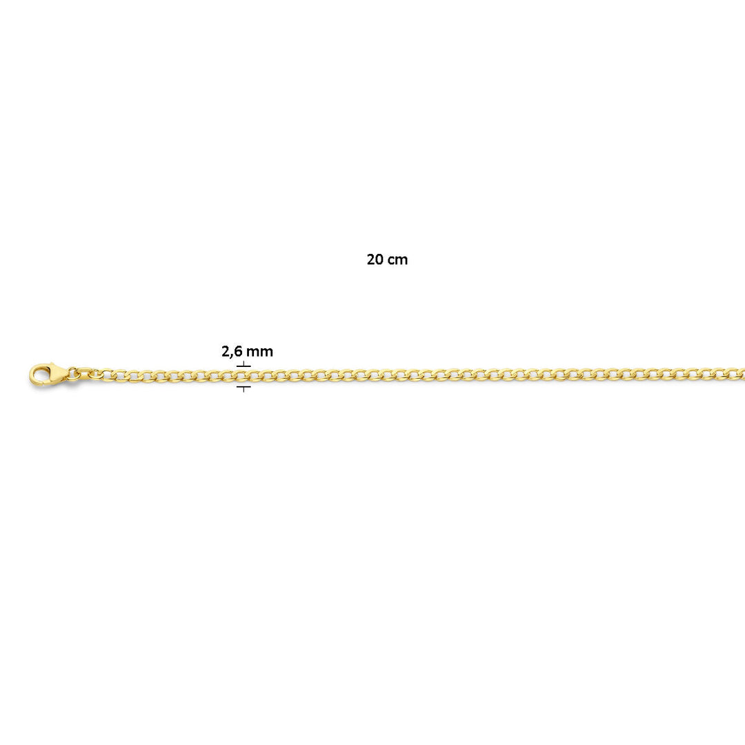 De Van der Kooij Collectie gourmette 6-zijdes geslepen 2,6 mm 14K geelgoud armband is plat neergelegd afgebeeld, is 20 cm lang en 2,6 mm breed, en heeft een karabijn sluiting aan één uiteinde.