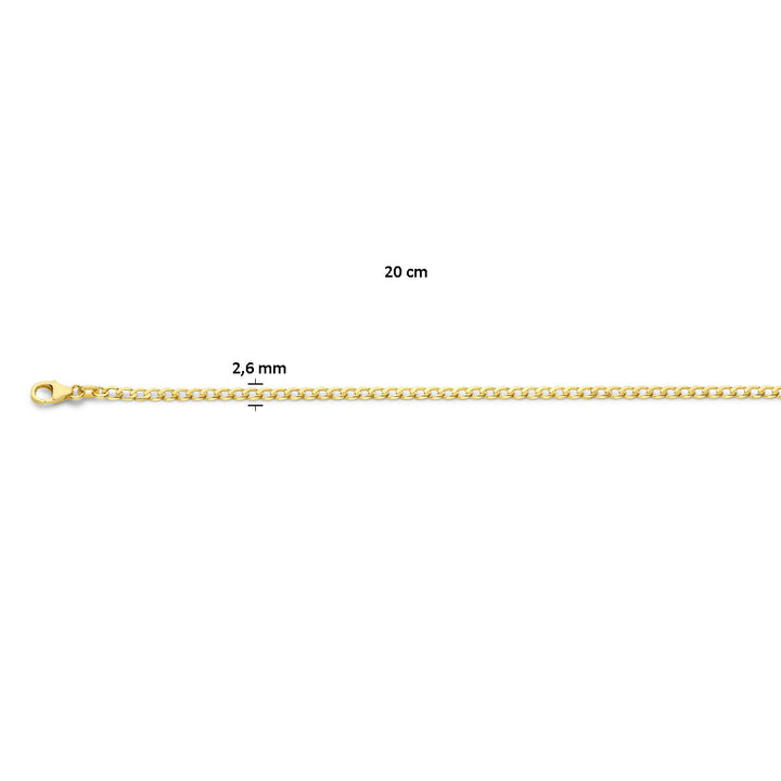 De Van der Kooij Collectie gourmette 6-zijdes geslepen 2,6 mm 14K geelgoud armband is plat neergelegd afgebeeld, is 20 cm lang en 2,6 mm breed, en heeft een karabijn sluiting aan één uiteinde.