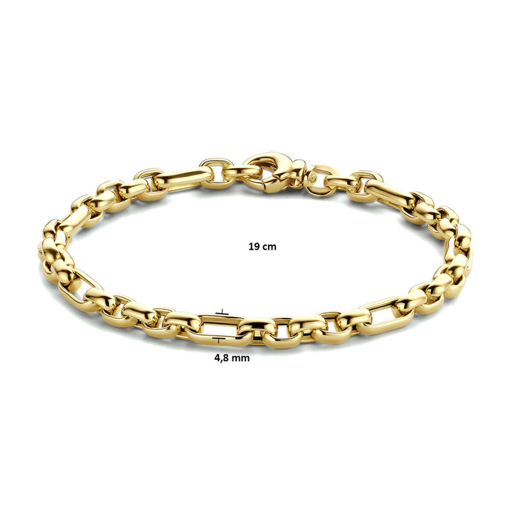 De Van der Kooij Collectie armband anker 4,8 mm 19 cm in 14K geelgoud voor dames, met karabijnsluiting, gepresenteerd op een witte achtergrond met gemarkeerde afmetingen.