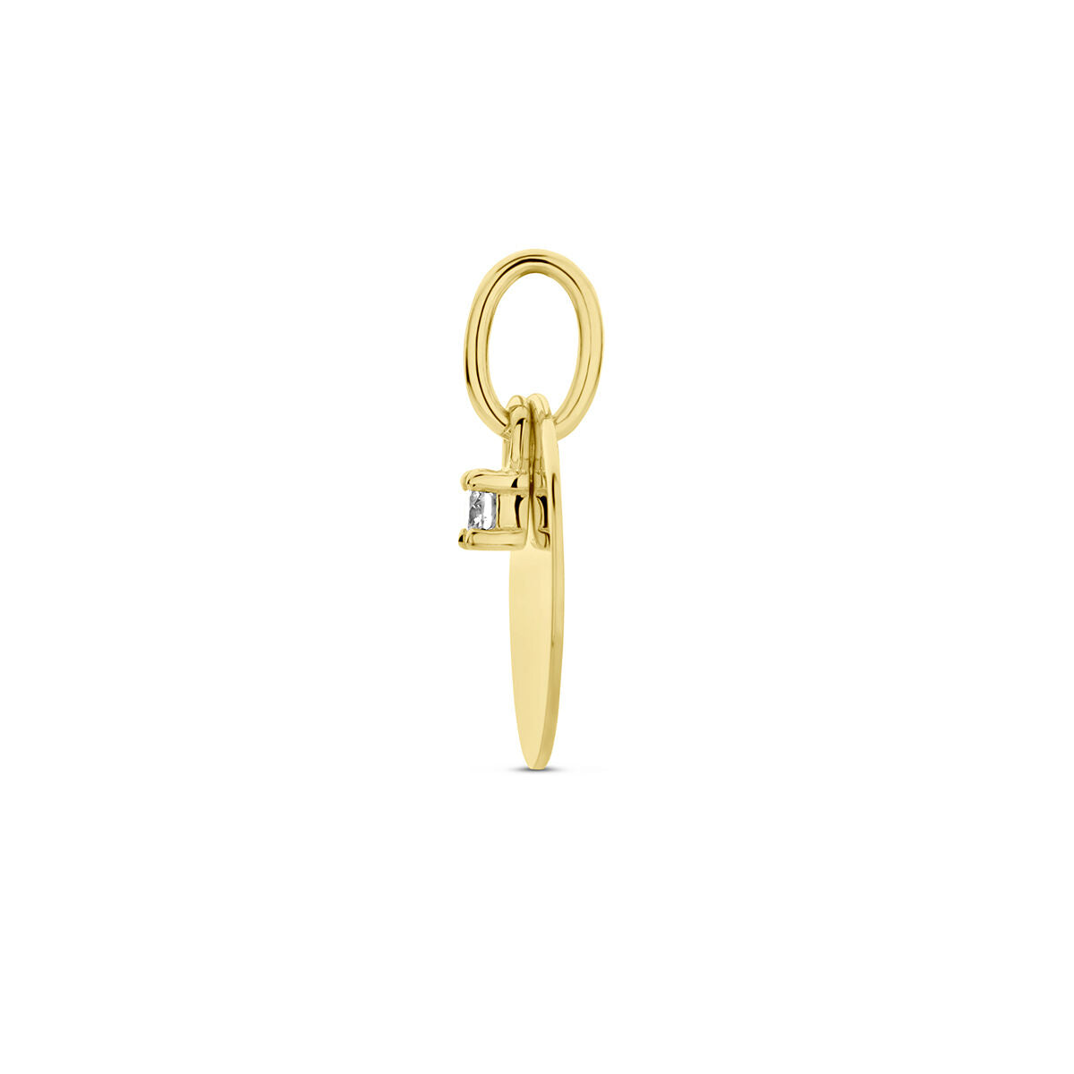 graveerhanger cirkel en diamant h si 14K geelgoud