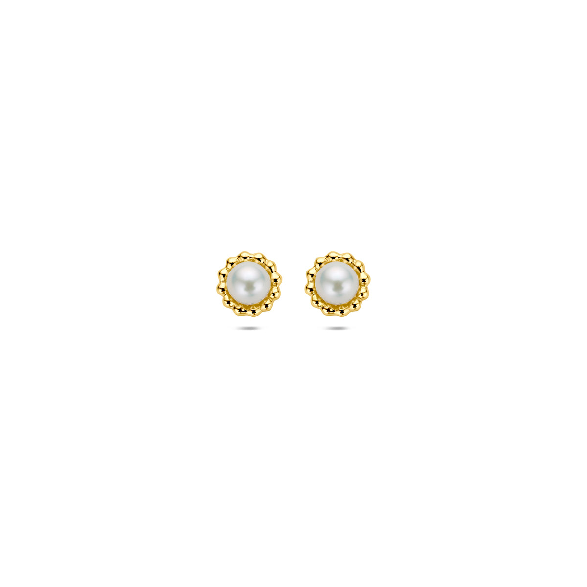 oorknoppen parel 14K geelgoud