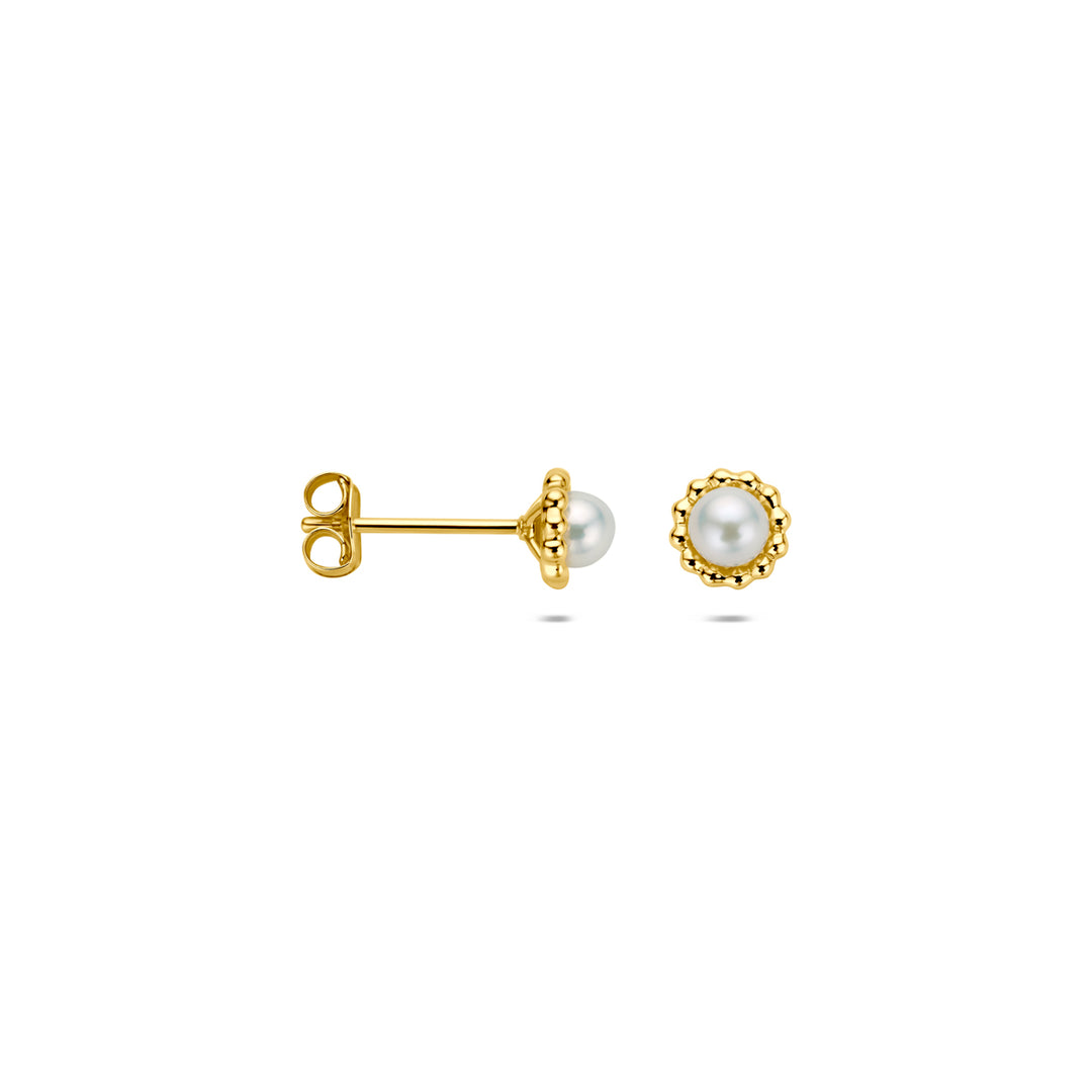 oorknoppen parel 14K geelgoud