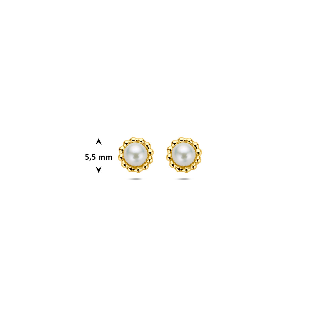 oorknoppen parel 14K geelgoud
