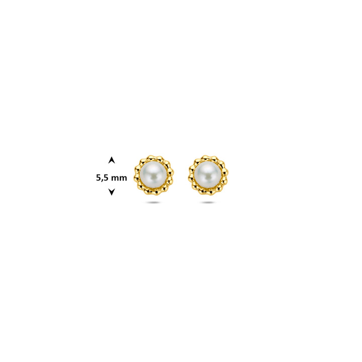 oorknoppen parel 14K geelgoud