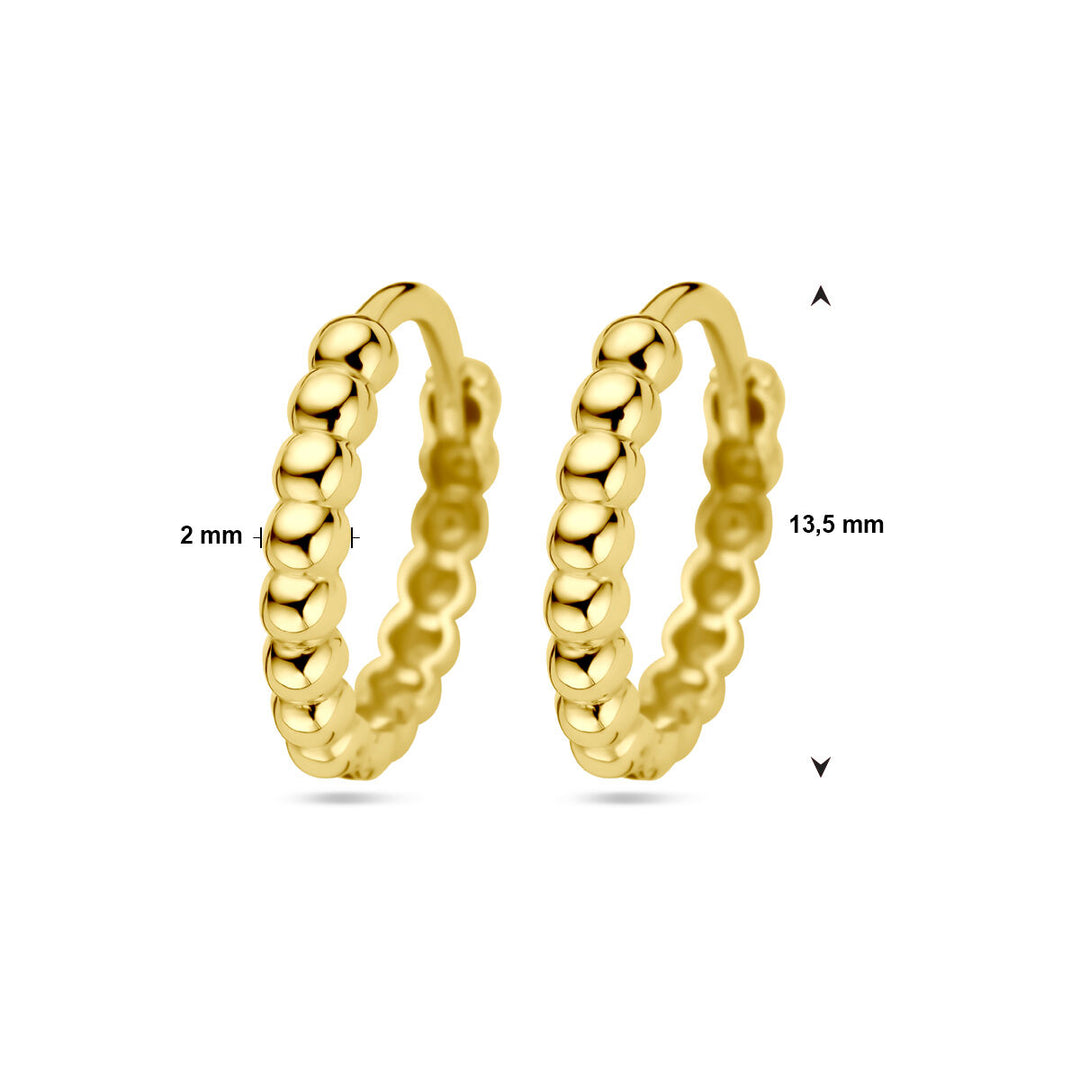 De klapoorringen bolletjes 14K geelgoud van Van der Kooij Collectie zijn dames oorbellen met een kralen design, 2 mm breed en 13,5 mm in diameter, vervaardigd uit 14k geelgoud en afgebeeld tegen een witte achtergrond.