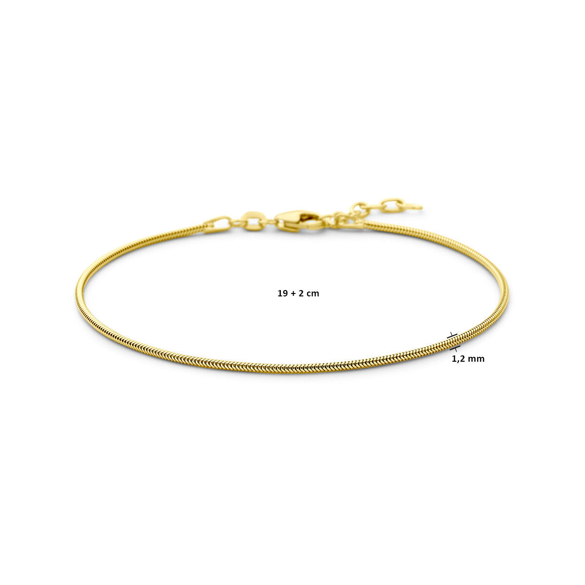 De Gouden armband heren slang rond 1,2 mm 14K van Van der Kooij Collectie is een elegante accessoire met karabijnsluiting, 19+2 cm lang. Het tijdloze ontwerp komt mooi uit op een witte achtergrond.