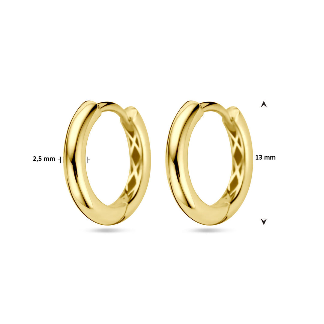 drop earrings 14K yellow gold