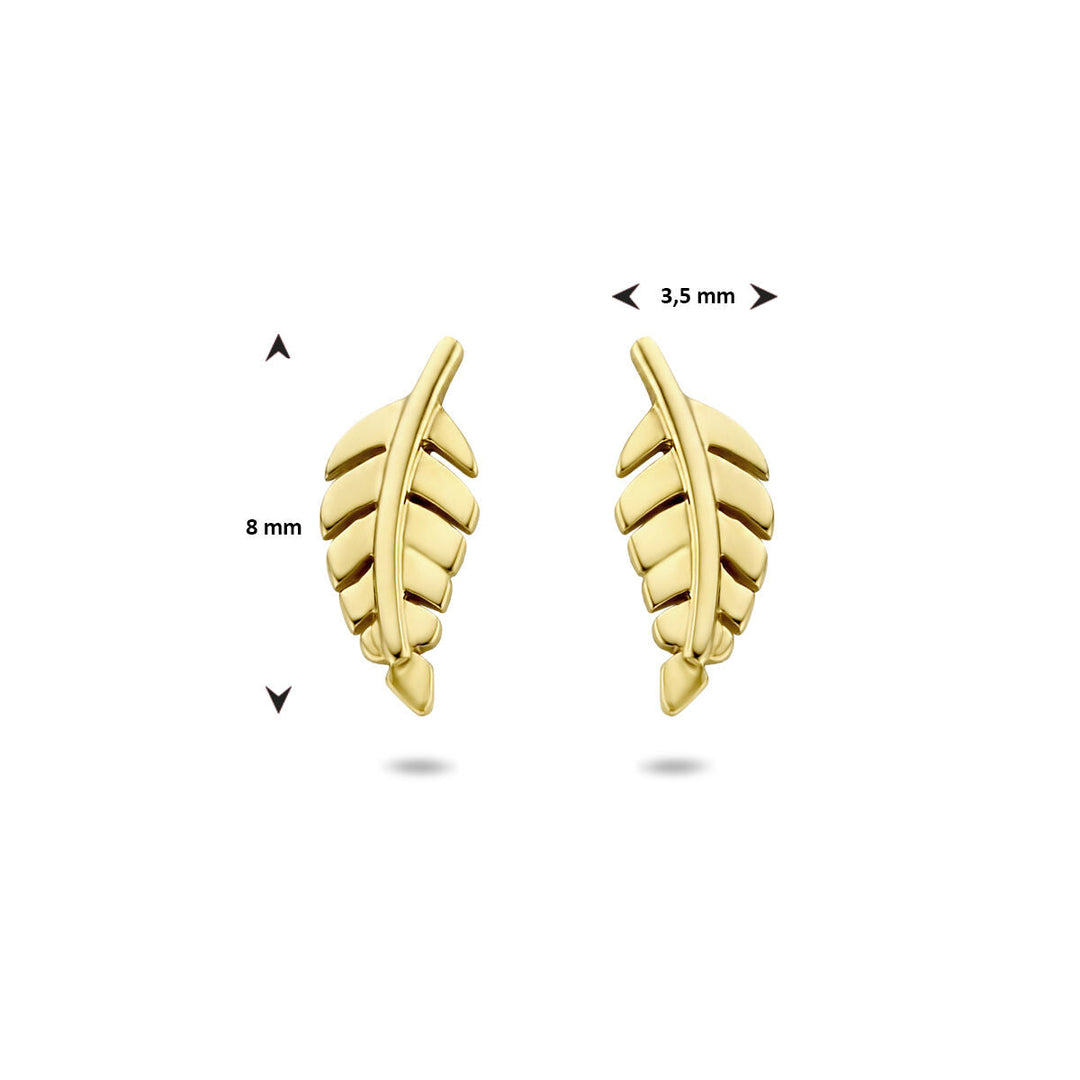 Ohrstecker Feder 14K Gelbgold