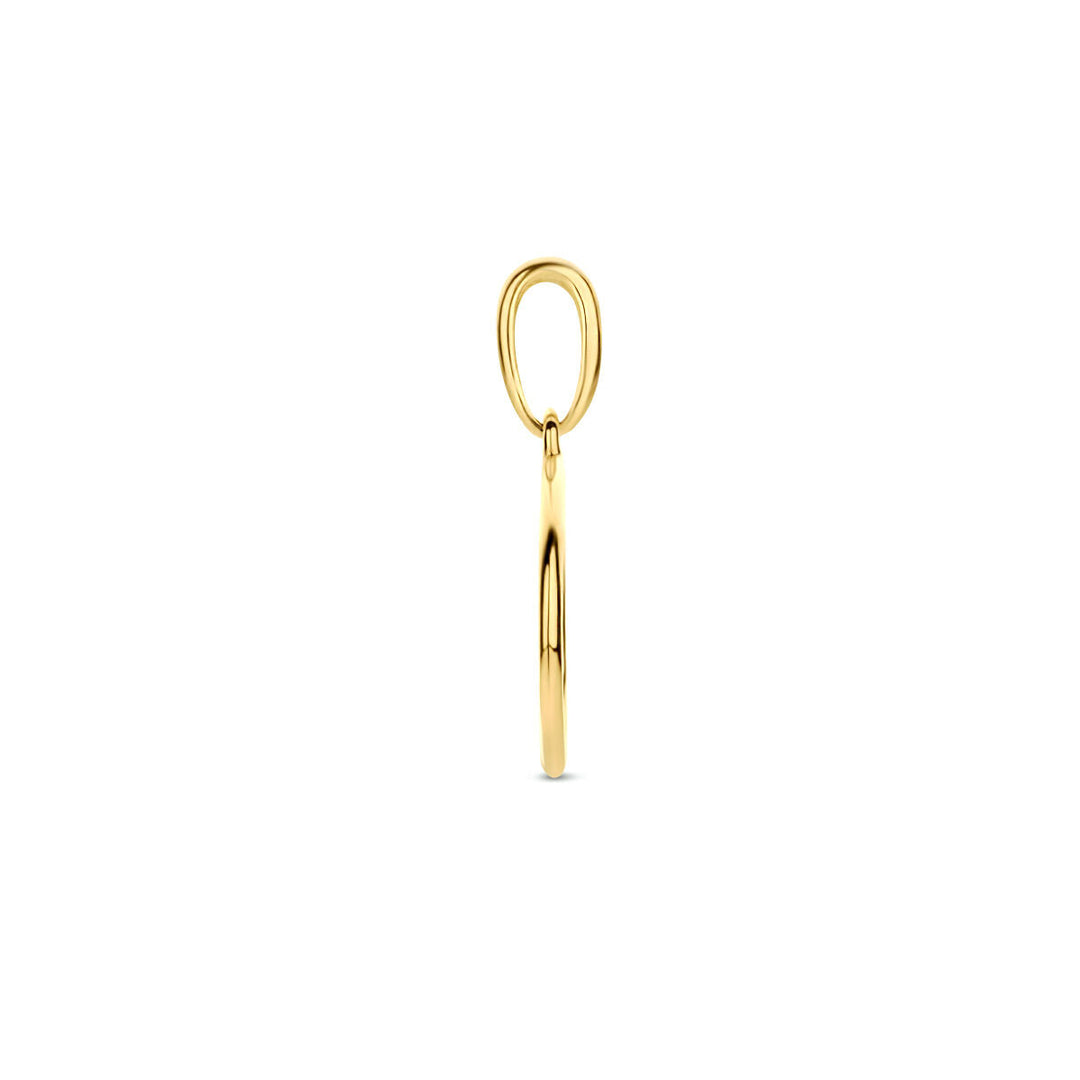 De Van der Kooij Collectie hanger rondje 14K geelgoud is een eenvoudige, gepolijste geelgouden hanger met een ronde vorm - een elegante dames sieraad voor dagelijks gebruik, afgebeeld tegen een effen witte achtergrond.