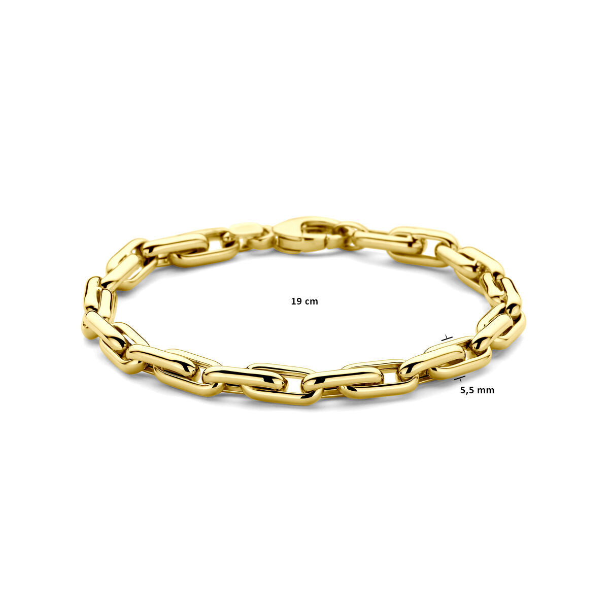De armband 5,5 mm 19 cm 14K geelgoud van de Van der Kooij Collectie heeft langwerpige anker schakels en is prachtig gepresenteerd op een witte achtergrond.