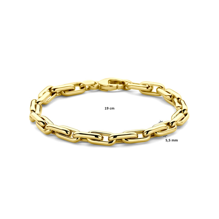 De armband 5,5 mm 19 cm 14K geelgoud van de Van der Kooij Collectie heeft langwerpige anker schakels en is prachtig gepresenteerd op een witte achtergrond.