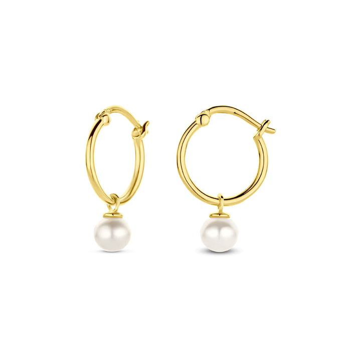 oorringen parel 14K geelgoud