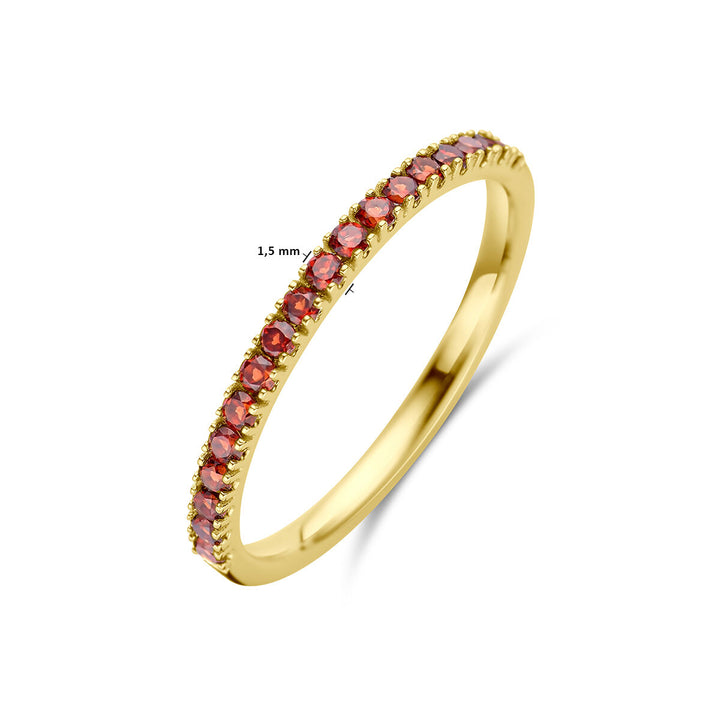 ring with birthstone garnet January 14K yellow gold